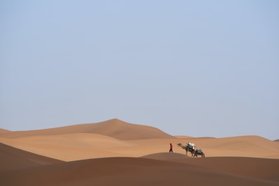 沙漠中牵骆驼的人